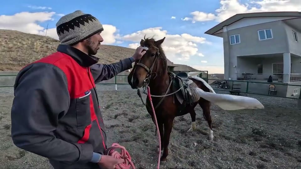 Desensitizing foal to plastic